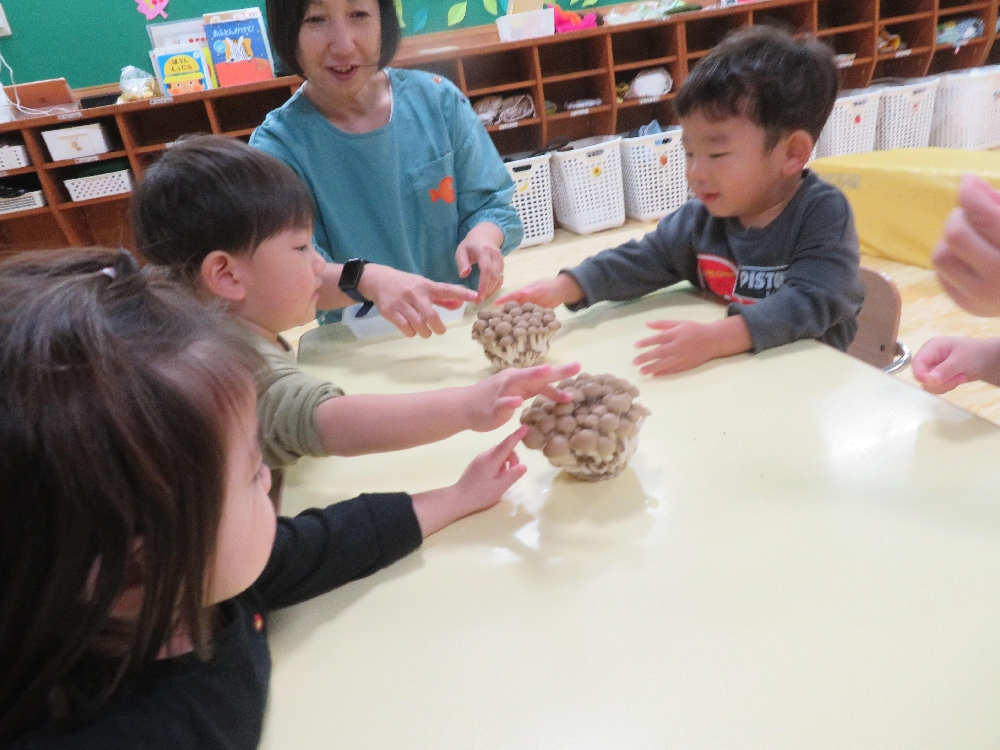 1歳児　きのこを触ってみたよ！