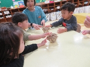1歳児　きのこを触ってみたよ！
